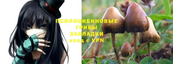 а пвп мука Бородино