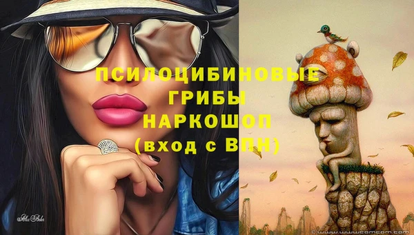 гашишное масло Богородицк