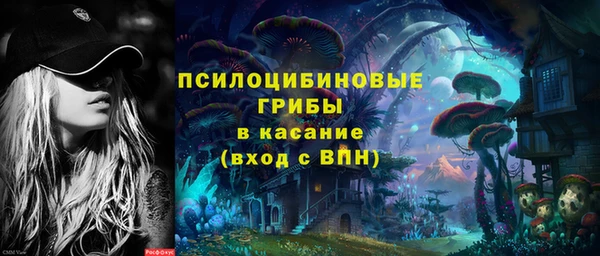 МДПВ Бугульма