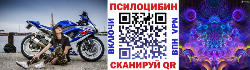 Псилоцибиновые грибы Cubensis  Яровое 